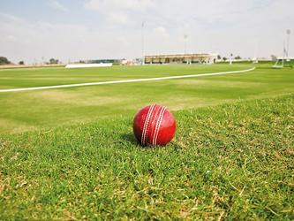 photograph of cricket ball on grass